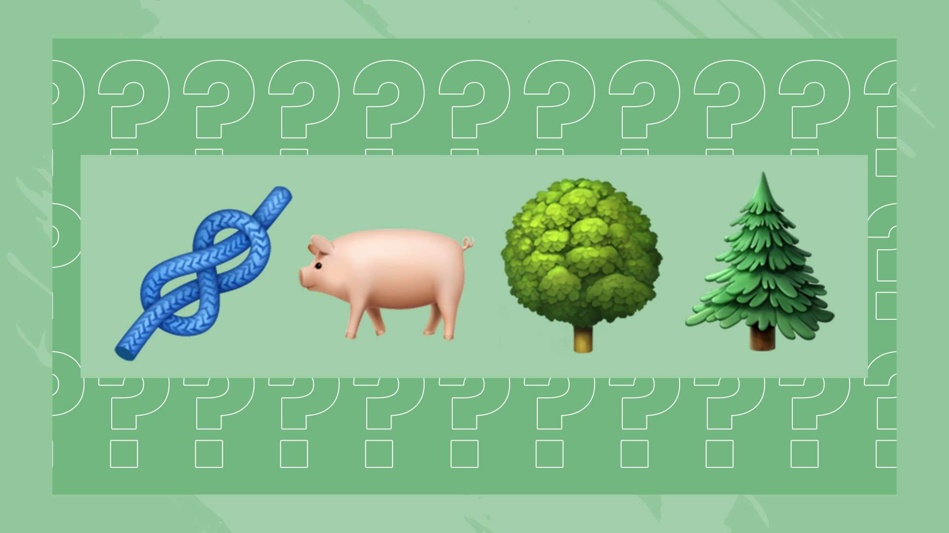 他是我们所 他是我们所